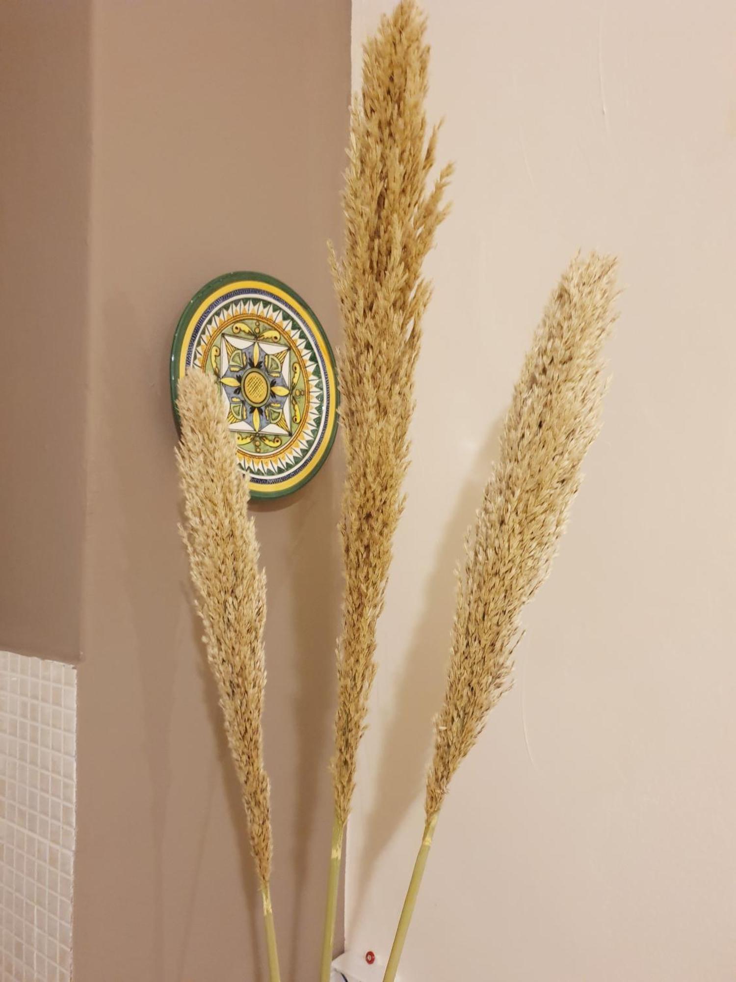 Ferienwohnung Dolce Casa Centro Storico Di Palermo New 2023 Zimmer foto
